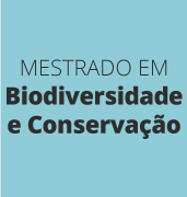 Collection logo