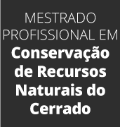 Collection logo