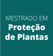 Collection logo
